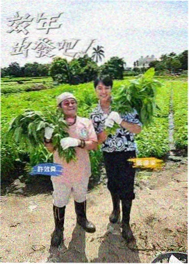 向往的生活 在线电影天堂
